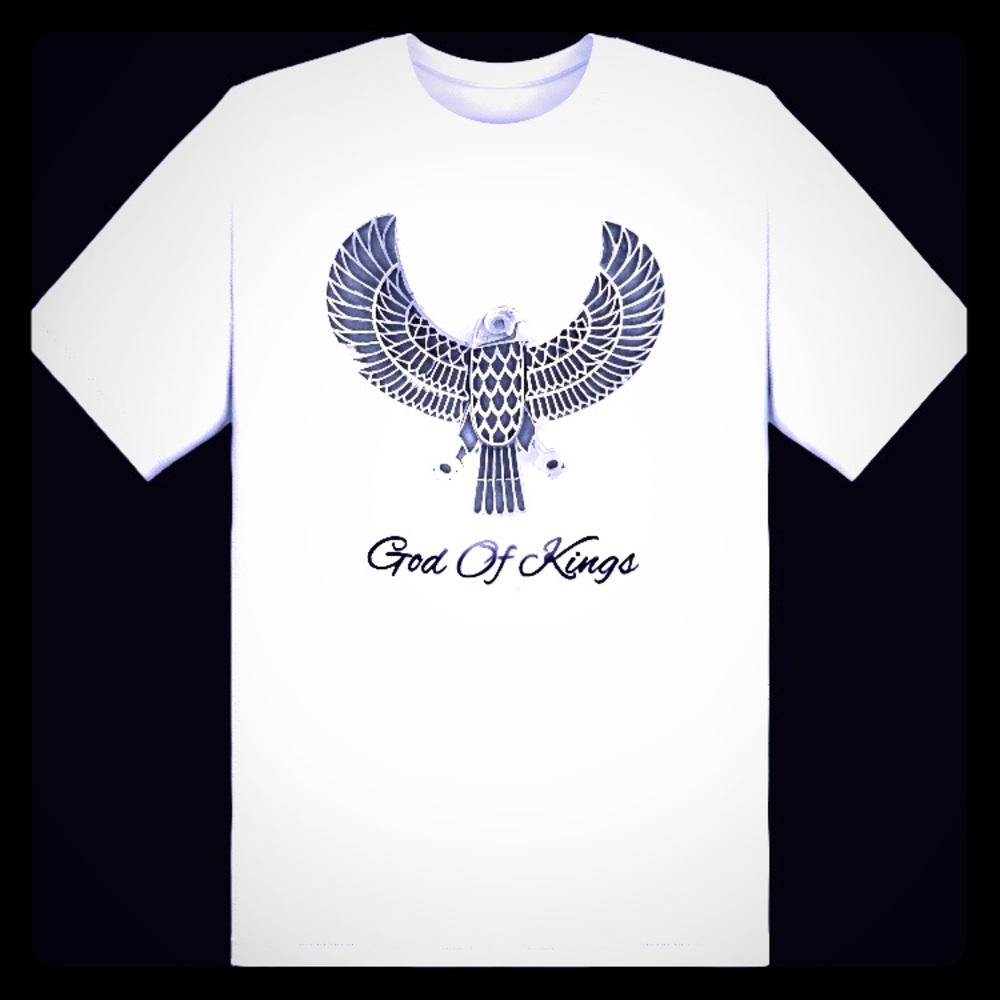 Horus Bird: God Of Kings T-Shirt